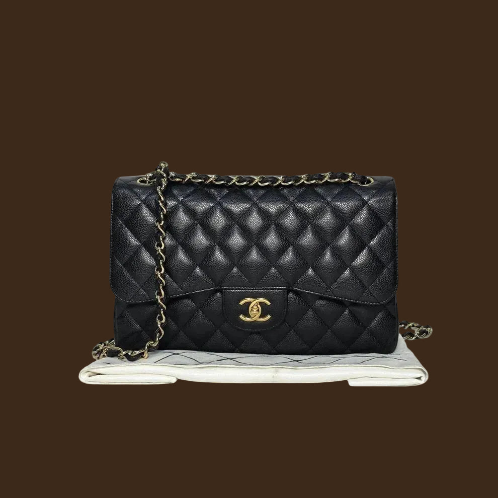 Chanel “Métiers d’Art” Shoulder Bag